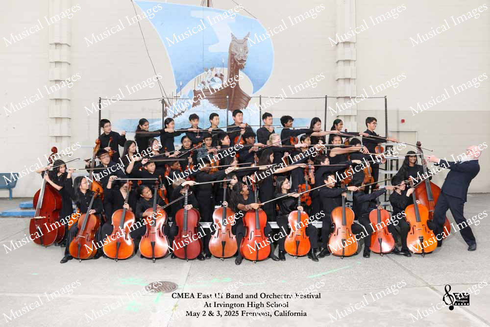 Musical Images